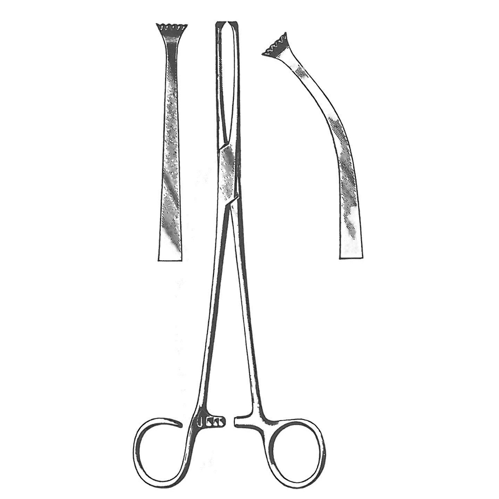 51203-19 : Colver Tonsil seizing forceps, curved, 19 cm long