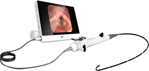 [00032462] VS100CH: 10" LCD display